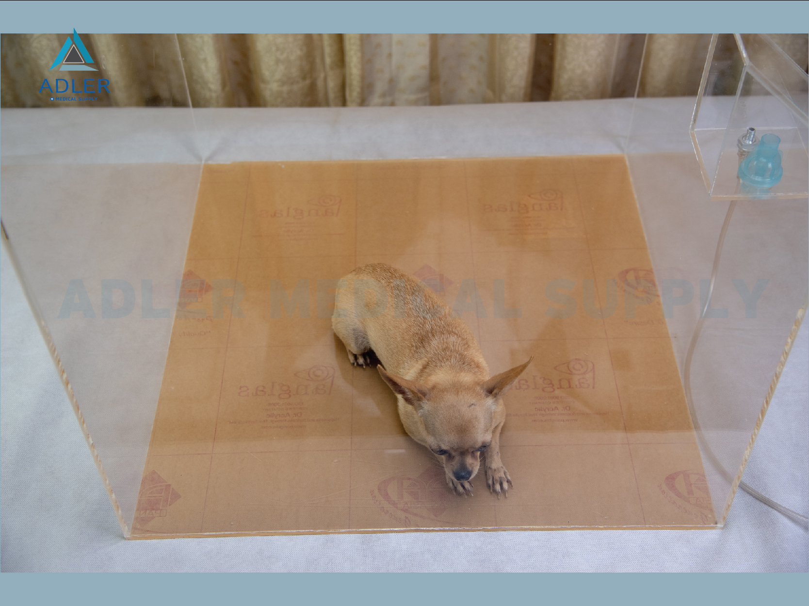ตู้สำหรับพักฟื้นสัตว์เลี้ยง (ตู้อคิลิค) แบบสำเร็จ ขนาด 45*45*45 cm.