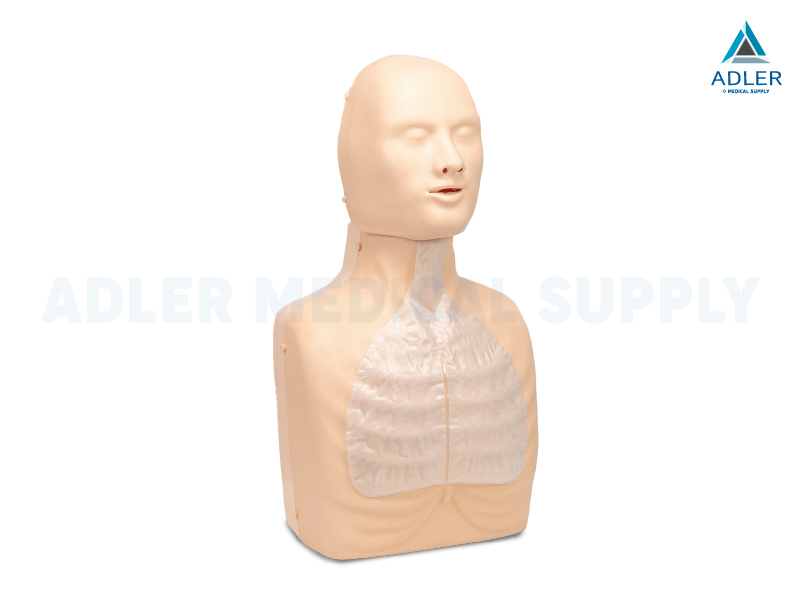 หุ่นจำลอง CPR หุ่นจำลอง CPR